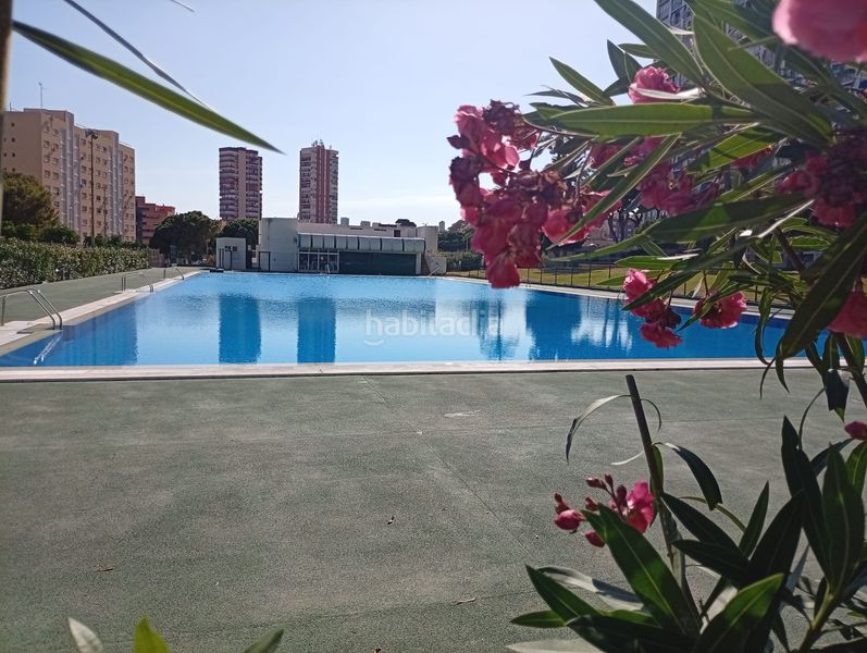 Foto dfb8f78b-bf77-4cc0-bc6a-c737cad7792c. Pis amb piscina a Juzgados - Plaza de Toros Benidorm