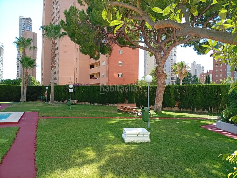 Foto 1d6b0b9e-f8a4-4604-b2f9-ee006acce4f7. Pis amb piscina a Juzgados - Plaza de Toros Benidorm