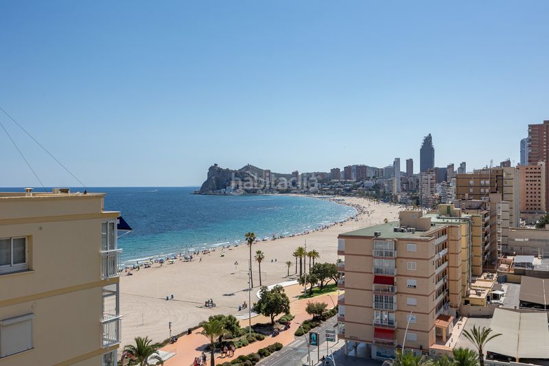 Foto 50c2c8a4-9465-46e5-a816-f0e65cc7dfbc. Pis amb piscina a Playa Poniente Benidorm