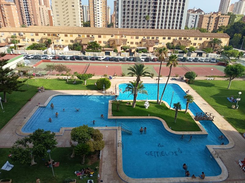 Foto 4ae85f23-0fe8-4da1-8f6e-eb3d61cf3eec. Pis amb piscina a Juzgados - Plaza de Toros Benidorm