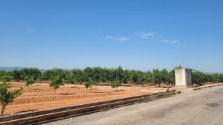 Propriété à Onda. Parcela rustica con agua de pozo