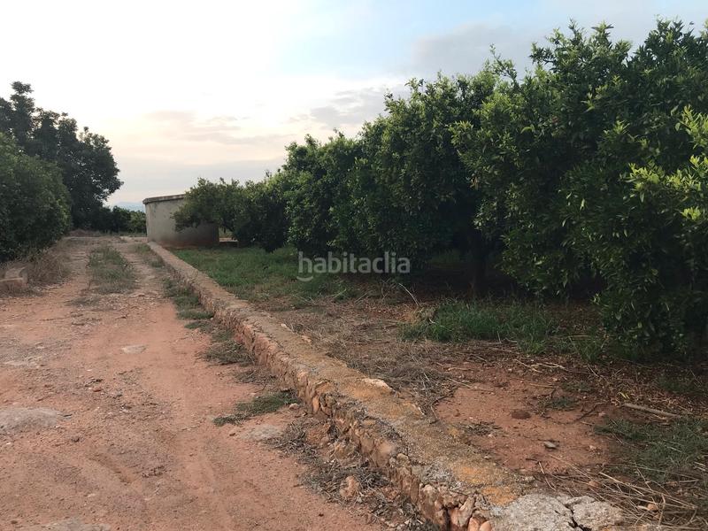 Foto a95fff97-84a1-4ce6-a5a3-1817cf20dd22. Finca rústica parcela con caseta en Madrigal Villarreal / Vila - real