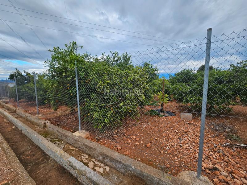 Foto 635af0e2-ae97-4e0c-bbd6-837afcfe7468. Fondo rustico in Santa Quiteria - Les Boqueres Almazora / Almassora