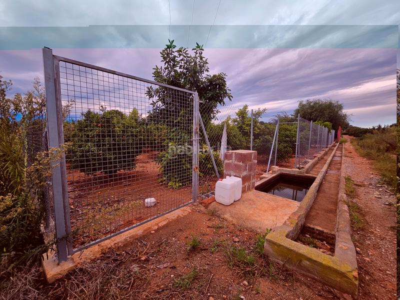 Foto 73f3561d-8694-4aa3-807e-5c1e7df50566. Fondo rustico in Santa Quiteria - Les Boqueres Almazora / Almassora