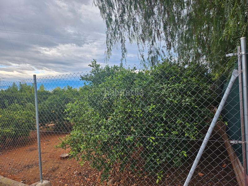 Foto ca4bd420-8036-4116-a496-6c10ef772226. Fondo rustico in Santa Quiteria - Les Boqueres Almazora / Almassora