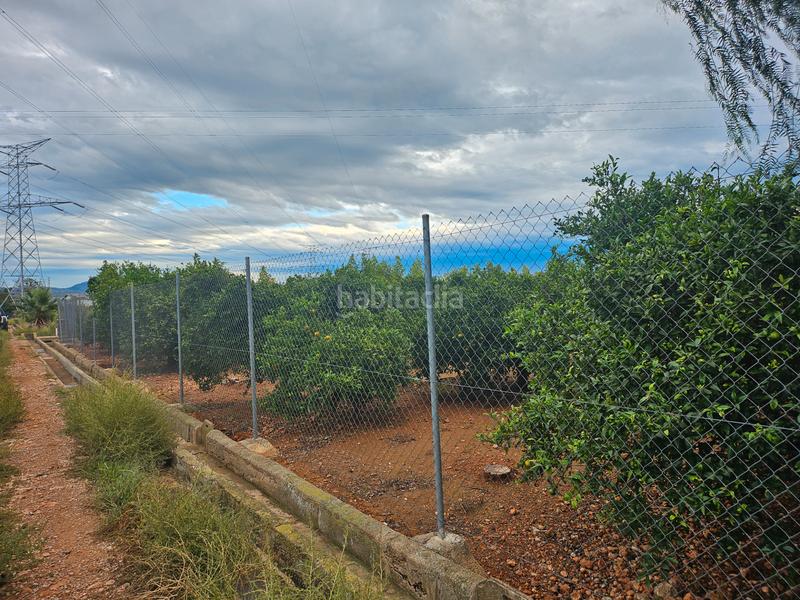 Foto eb45c553-42e3-47e5-b2b4-8504d18fb1a6. Fondo rustico in Santa Quiteria - Les Boqueres Almazora / Almassora