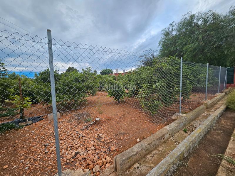 Foto f5533f4e-4cf8-43fb-9783-a1a47248d660. Fondo rustico in Santa Quiteria - Les Boqueres Almazora / Almassora