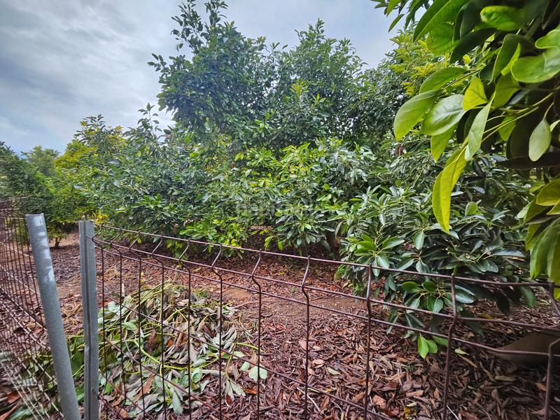 Foto 15bf79ae-068e-422c-a289-4df3429e229d. Fondo rustico in Santa Quiteria - Les Boqueres Almazora / Almassora