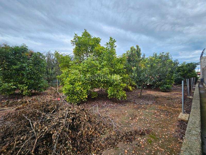 Foto e8300ba0-392b-4cb1-8121-249df86308ac. Fondo rustico in Santa Quiteria - Les Boqueres Almazora / Almassora