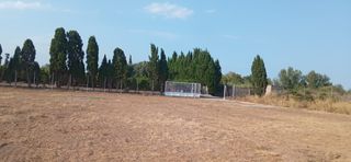Finca rústica a Piscinas