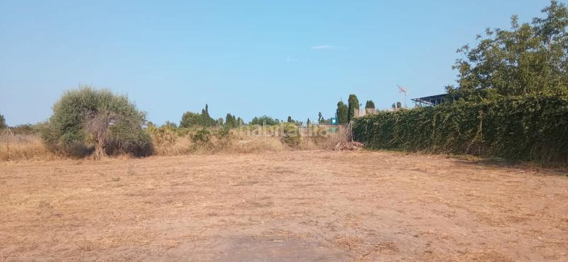 Foto 4d53776b-0ac3-4908-870f-99b1fb4f304e. Finca rústica parcela rustica de 2.600m² en Piscinas Burriana