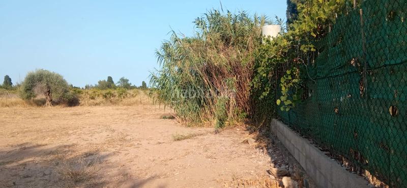 Foto ddd7f31d-24fe-4bf9-9cee-855821b62573. Finca rústica parcela rustica de 2.600m² en Piscinas Burriana