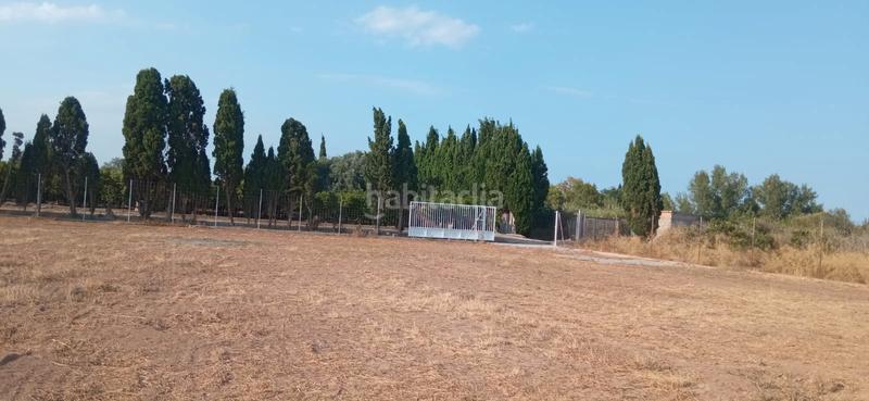 Foto f98434a6-4833-4c28-a4ad-d49a46aab23a. Finca rústica parcela rustica de 2.600m² en Piscinas Burriana