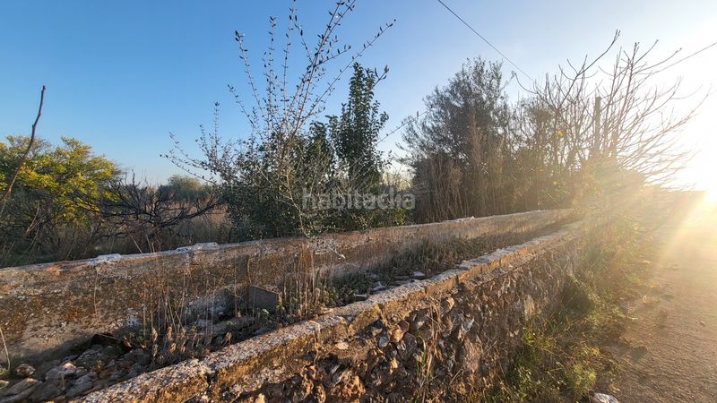 Foto c533e62a-640a-4b6b-9734-64cbc2087b62. Finca rústica a Madrigal Villarreal / Vila - real