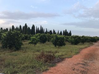 Finca rústica a Avenida Alemania-Italia