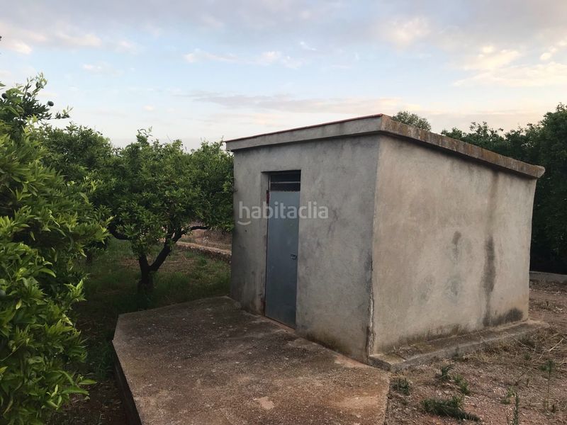 Foto a140c3a4-1aea-4a91-b2d8-56d3a9a6806e. Finca rústica a Avenida Alemania-Italia Villarreal / Vila - real