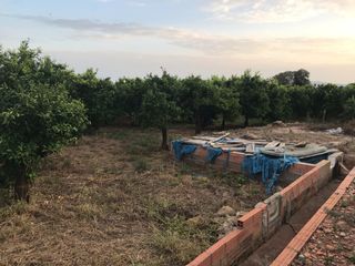 Rural plot in Avenida Alemania-Italia. Parcela con caseta