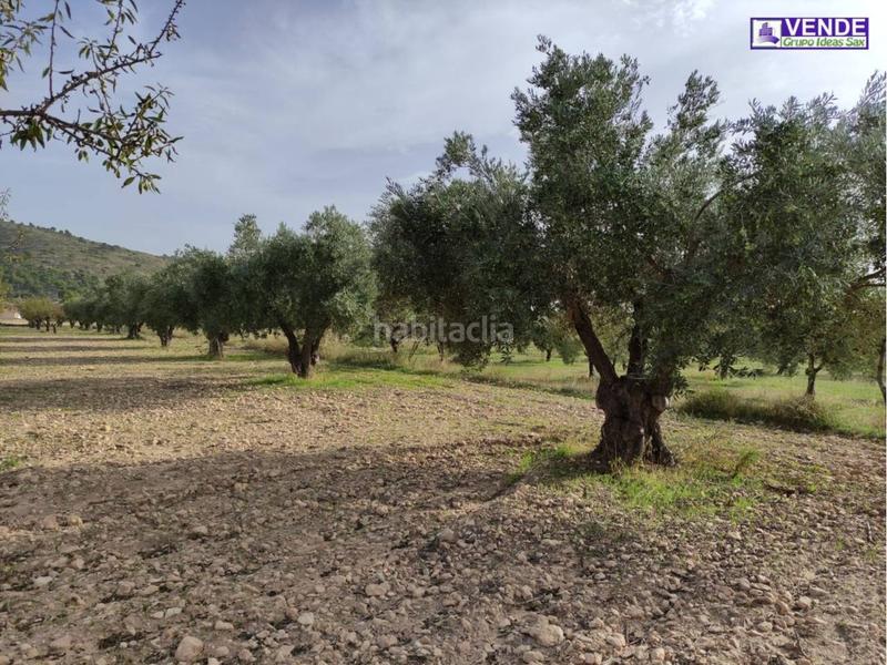 Foto 0ecfca65-045d-4cda-abad-301e59a8308b. Finca rústica a Sax