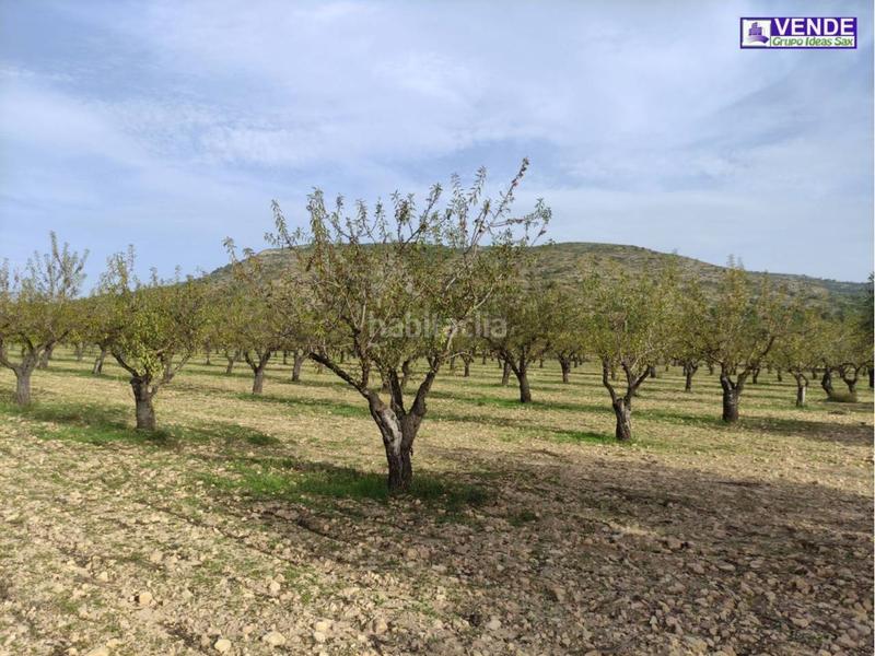 Foto 6c550bbc-3826-42bc-b9a6-ff6a71c30831. Finca rústica a Sax