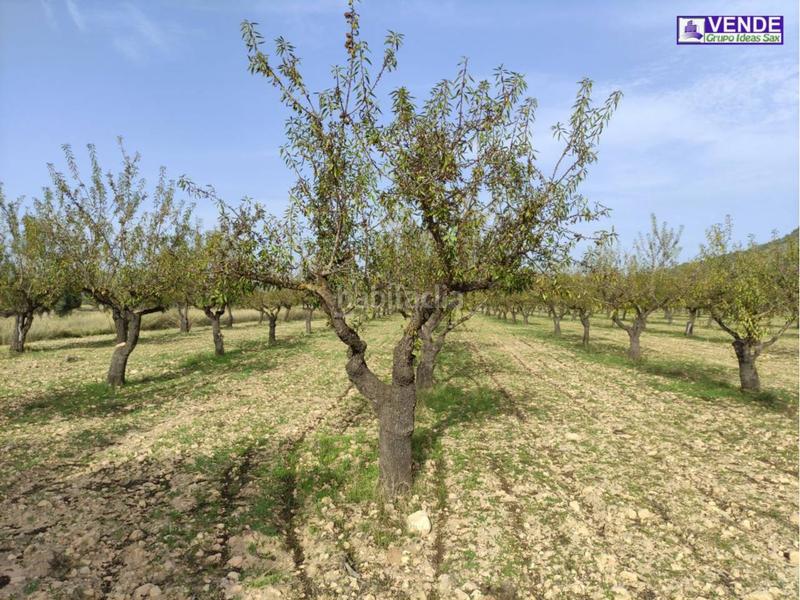 Foto bc8c5489-0383-462b-a6b2-b5bec41d1617. Finca rústica a Sax