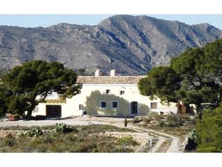 Rural plot  37. Exclusiva finca en yecla