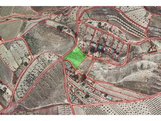 Finca rústica a 23 57. Terreno en venta en sax en paraje la cofradía