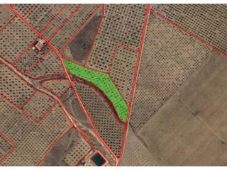 Finca rústica en 2, camino del palacio 5074. Terreno en venta en camino del palacio en caudete albacete