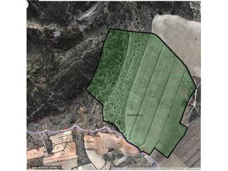 Rural plot in 37 94. Finca rustica en venta en yecla