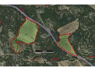 Finca rústica  15. Terrenos con olivos en producción en sax, zona del plano