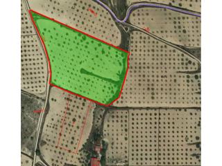 Finca rústica  1. Terreno en venta