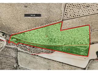 Propriété  6. Terreno en venta en paraje la centenera