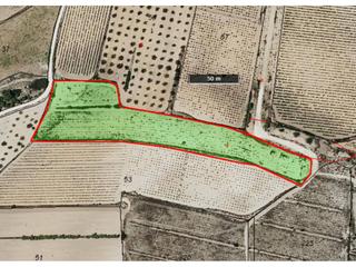 Propriété  6. Terreno en venta en paraje la centenera