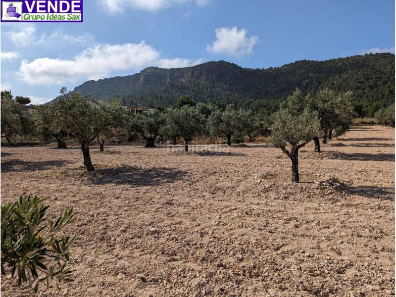 Foto 1ad9b623-0df6-45ca-92d6-1d29253332ce. Casale in San Crispín-Huerta Nueva-Estación Elda