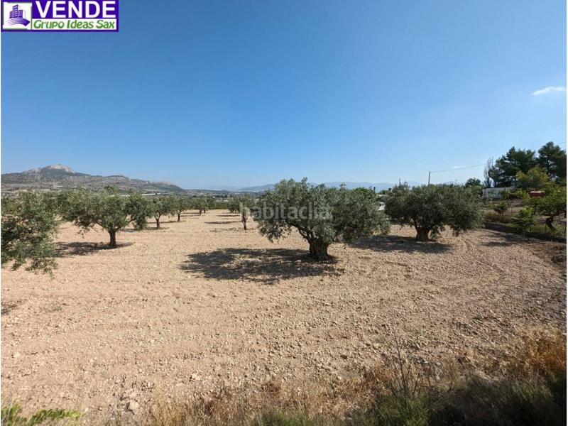 Foto 802a7372-9b63-4b9f-b5f9-05b831466af9. Casale in San Crispín-Huerta Nueva-Estación Elda