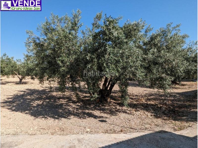 Foto eb990c7e-aad8-4d9c-80a5-fad39f016888. Casale in San Crispín-Huerta Nueva-Estación Elda