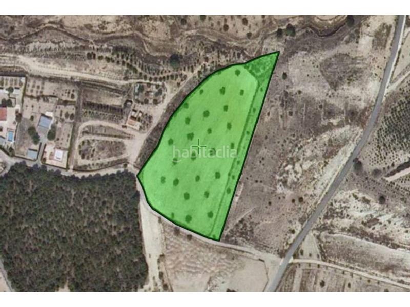 Foto 40983527-b9b5-4f78-af5c-ad6e926db542. Finca rústica a Sax