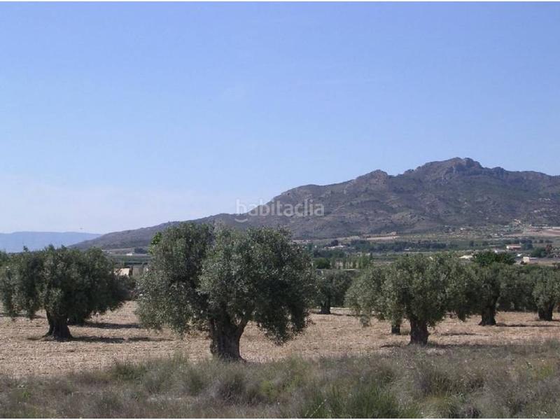 Foto 6c2a6e23-09d4-43b0-a103-b79fa1ec8189. Finca rústica a Sax