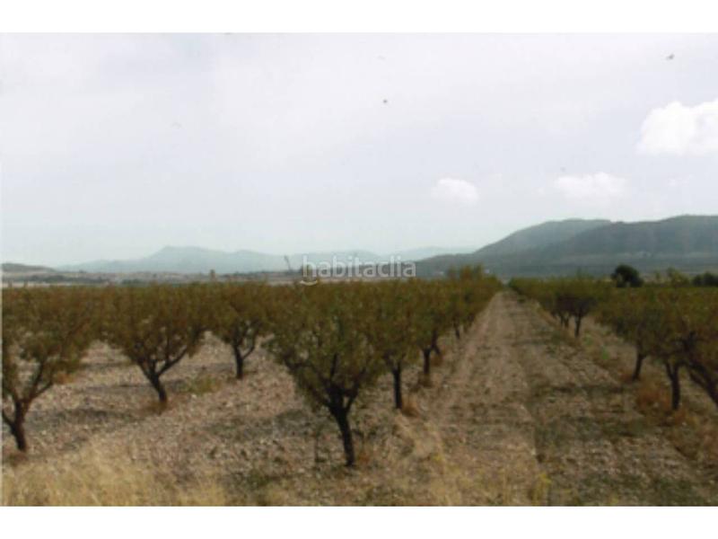 Foto e3ed008c-54fc-4cc8-baa7-045f78e2308e. Terrain résidentiel dans Salinas