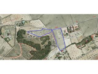 Finca rústica  7. Terreno en venta en sax