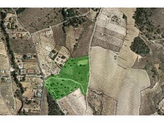 Finca rústica  2. Terreno en venta en sax