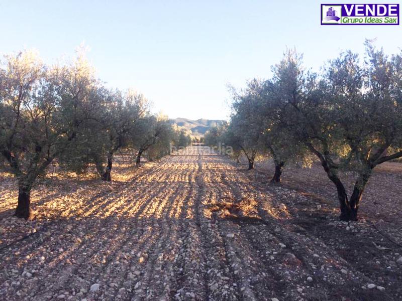 Foto 1dbc16cc-635d-40f4-ab7d-73bc7518c2e1. Terreno residenziale in Salinas