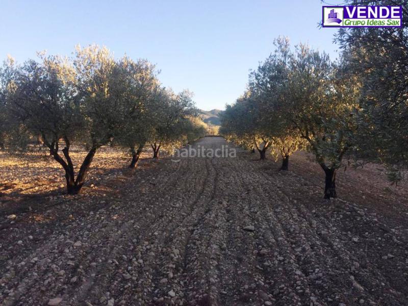 Foto 88d73e09-62b4-4ccb-977b-278914cb667a. Terreno residenziale in Salinas