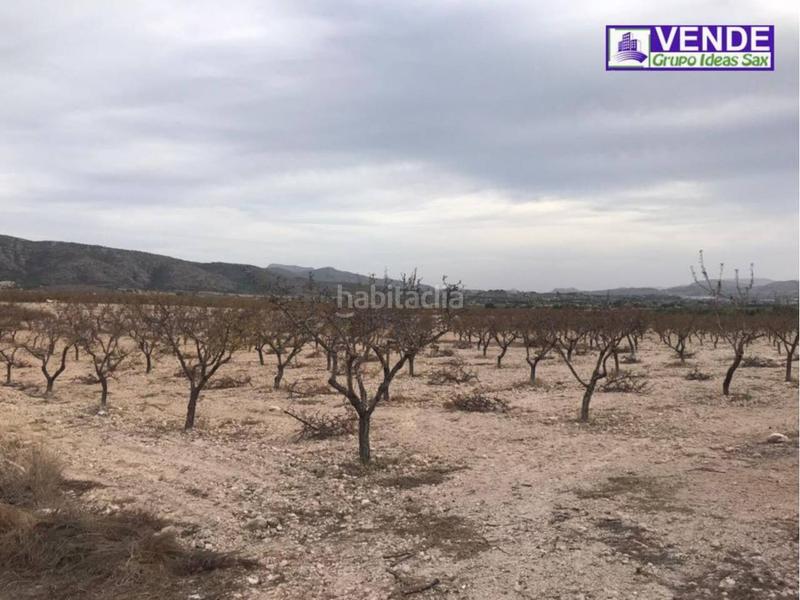 Foto 6e368465-be9e-4a96-8c19-1a5878d31fbd. Propriété dans Sax