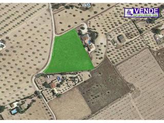 Finca rústica a Sax. Terreno en venta en sax