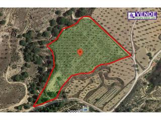 Finca rústica a 22 10. En venta en sax