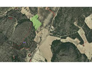 Finca rústica  2. Terreno en venta en sax