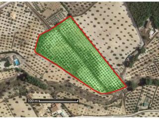 Terreny residencial a Sax. Terreno en venta en sax