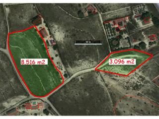 Finca rústica a Sax. Terreno en venta en sax