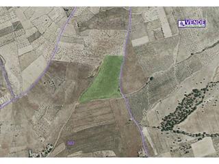 Finca rústica a Salinas. Terreno en venta en salinas