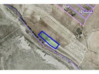 Finca rústica a 8 87. Terreno en venta en salinas